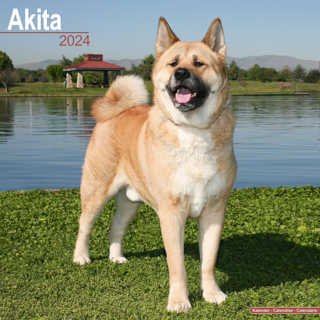22年 Petprints 秋田犬カレンダー
