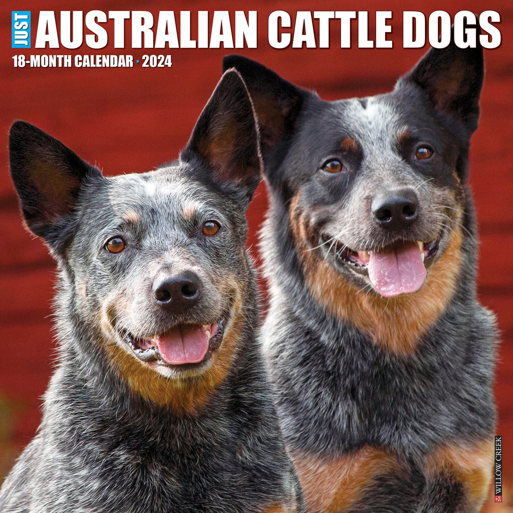 日本語名 オーストラリアンキャトルドッグ 英語名 Australiancattledog 原産国 概要 起源 特徴 歴史 外部リンク 検索ワード オーストラリアンキャトルドッグカレンダー
