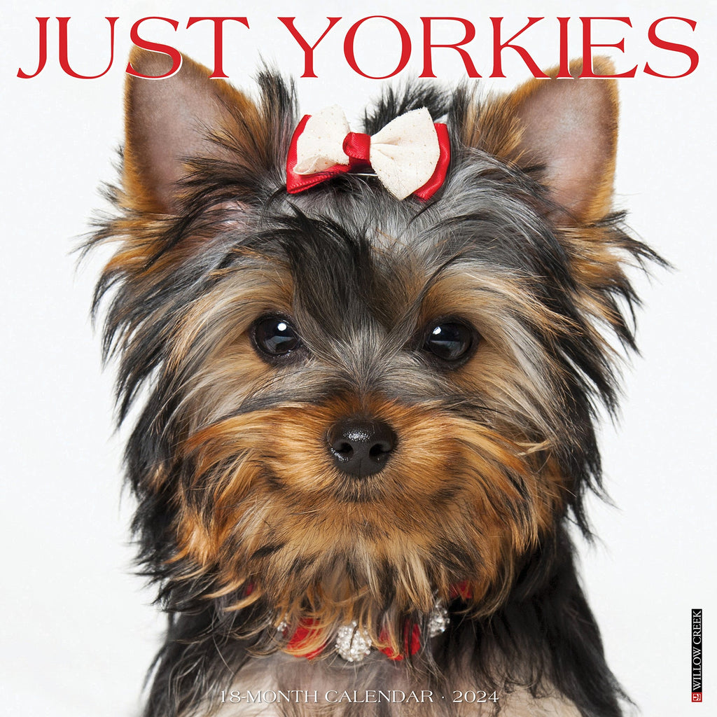 日本語名 ヨークシャテリア 英語名 Yorkshireterrier 原産国 概要 起源 特徴 歴史 外部リンク 検索ワード ヨークシャテリアカレンダー ヨーキー